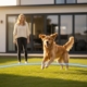Are Invisible Fences Safe for Dogs? Myths, Facts, and Expert Reality