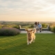 Dog Friendly Gardens UK: The Complete Guide to Safe Outdoor Spaces