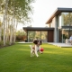 Hidden Pet Containment Systems: The Ultimate UK Guide 2026