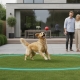 Invisible Fence Reliability: Can You Trust a Hidden Fence in 2026?