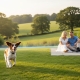 Professional Electric Dog Fence Installation: The Complete UK Guide for 2026