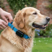 Replacement Collar Straps for Dog & Cat Fence Systems: The 2026 Safety Guide – Hero Image Replacement Collar Straps for Dog & Cat Fence Systems: The 2026 Safety Guide