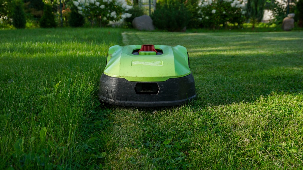 Robotic lawn mower operating in a garden with a hidden dog fence boundary
