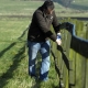 Invisible DogFence installed alongside an existing garden fence