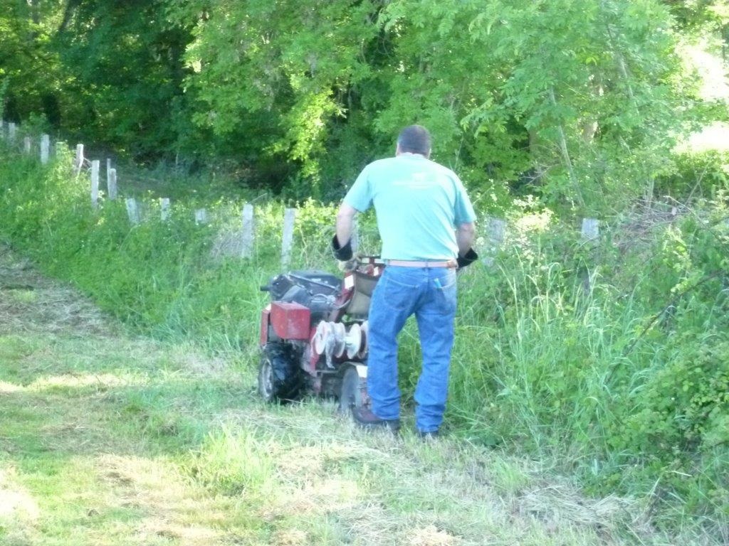 Professional installer laying a reliable dog fence boundary wire