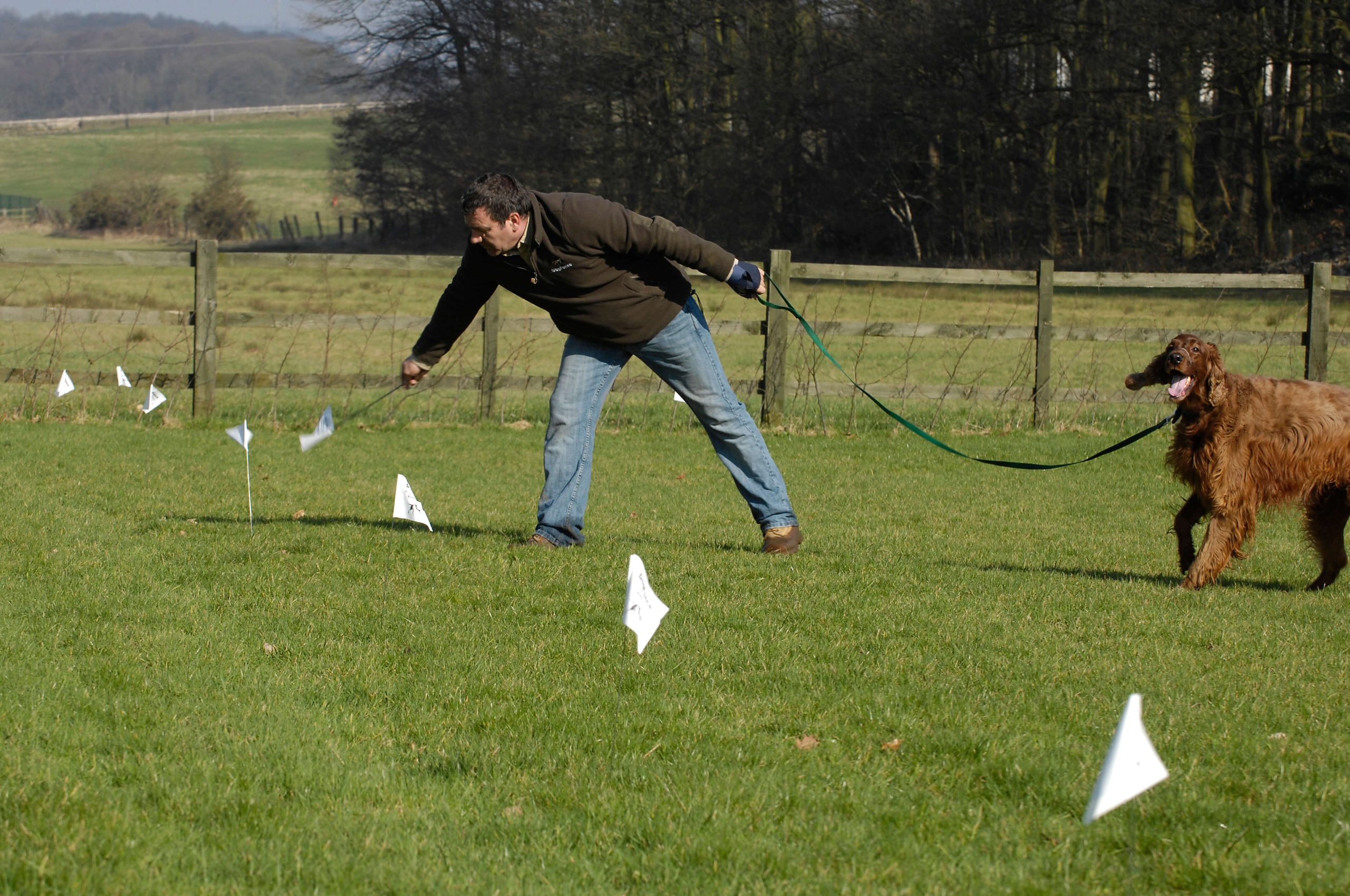 Professional invisible dog fence installer training a dog at the boundary