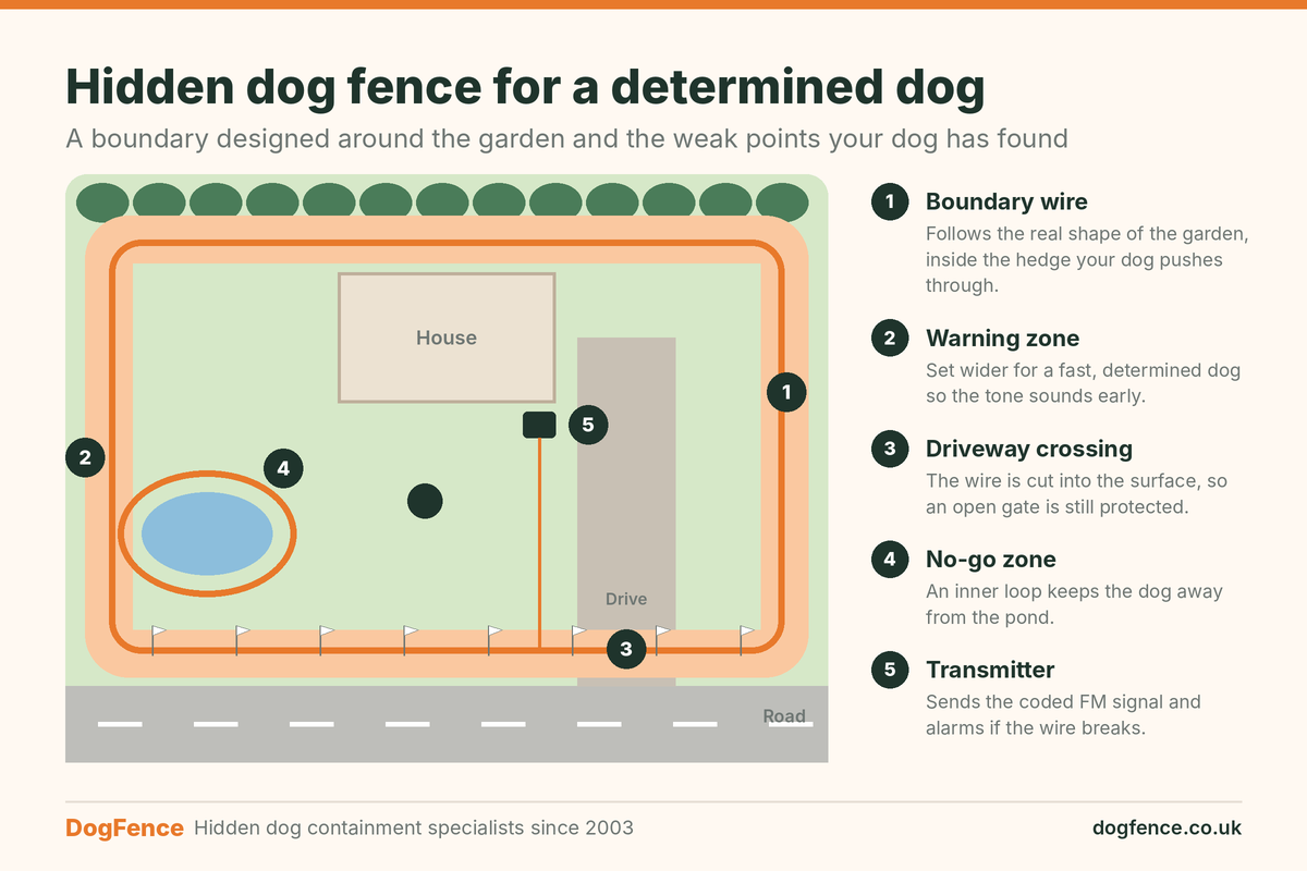 Hidden dog fence garden layout for a determined dog showing boundary wire, driveway crossing, wider warning zone, pond exclusion area and transmitter